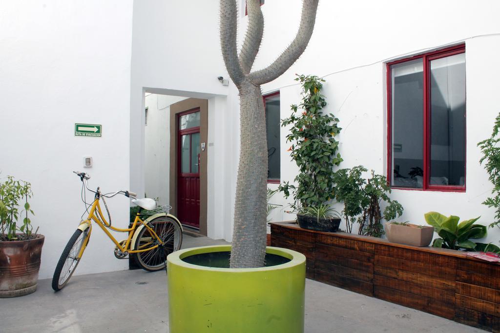 Kuku Ruku Hotel Querétaro Extérieur photo